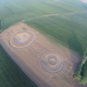 Illustration for article titled The Most Astonishing Crop Circle Artworks of 2014